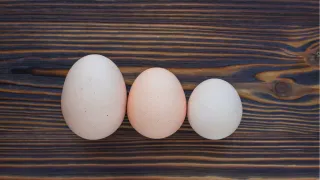 6 Essential Software Sizing Resources