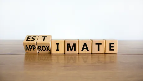 Software Project Estimation 