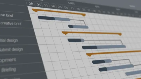 SLIM-Control Software Project Tracking